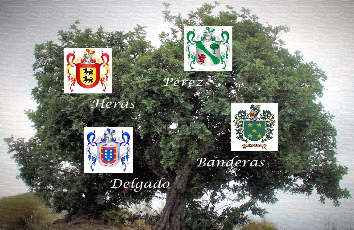 FHPGenealogiasyProyectos: Genealogías de la Familia Heras y Pérez
